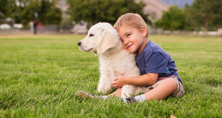 ethically bred puppies